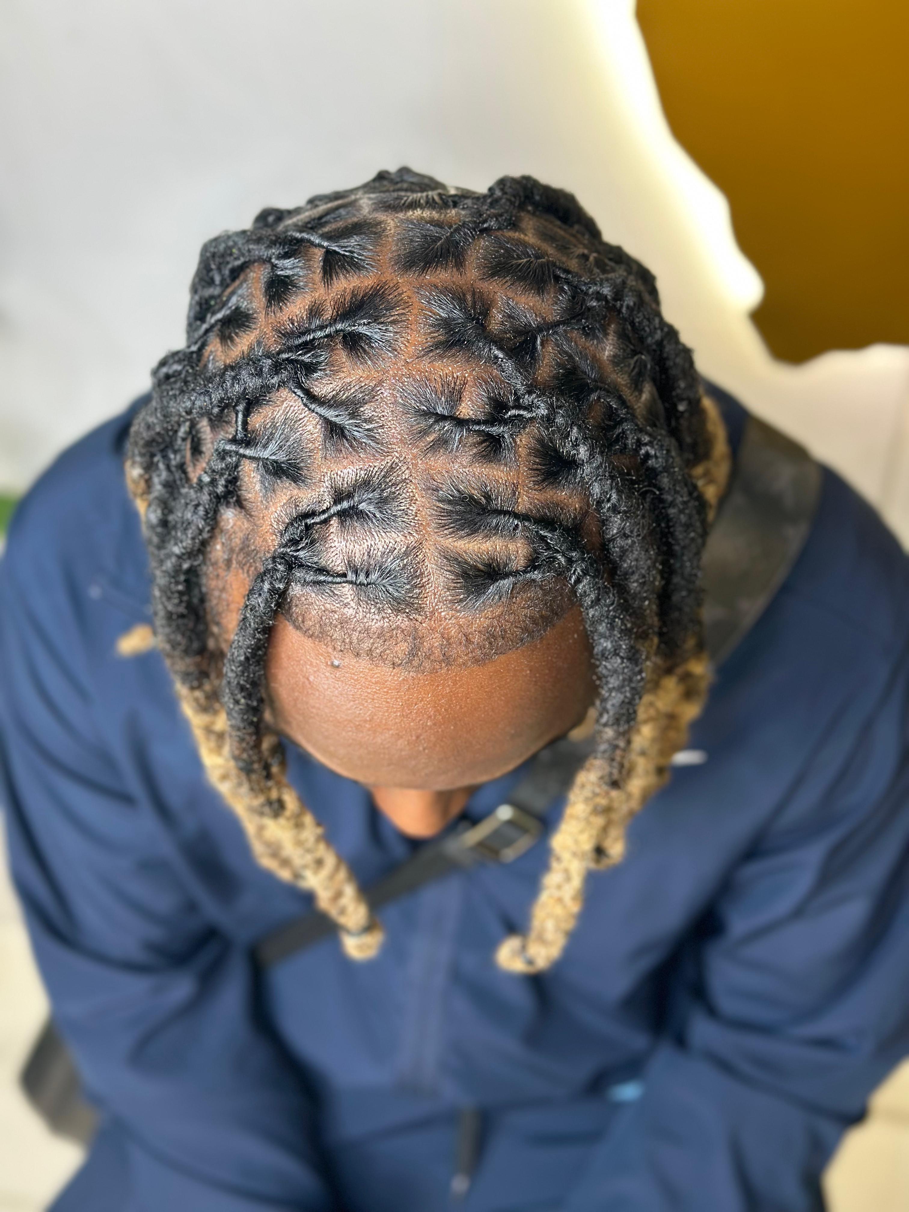 Locs Style 5